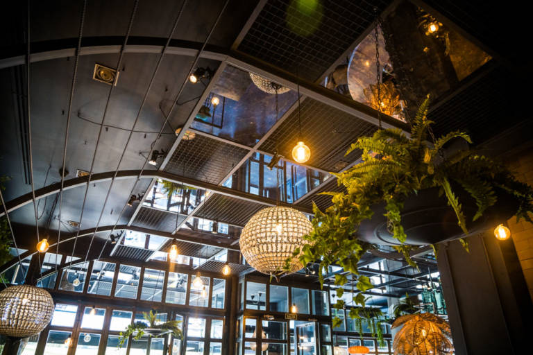 Pedegru Restaurante Madrid (19)