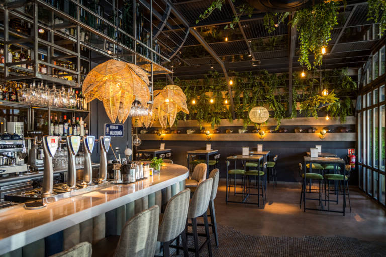 Pedegru Restaurante Madrid (24)